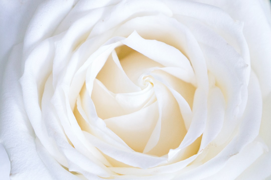 Fiori matrimonio: Idee creative per gli allestimenti floreali indimenticabili del tuo grande giorno