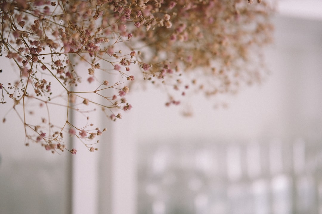 Fiori Matrimonio: le tendenze floreali più in voga per il grande giorno