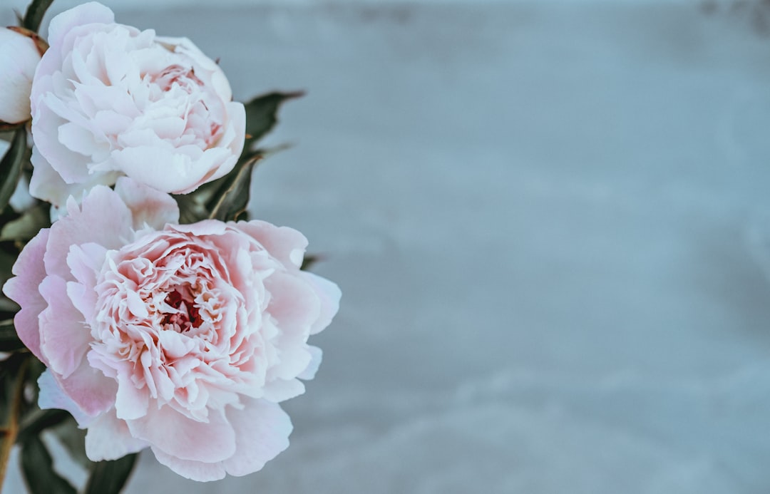 Fiori per matrimonio: scopri i più adatti alla tua cerimonia