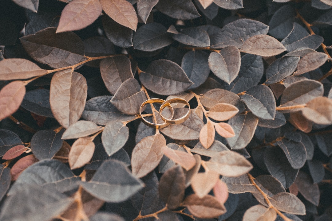Anelli matrimonio: scopri come scegliere i perfetti con la nostra guida all’acquisto!