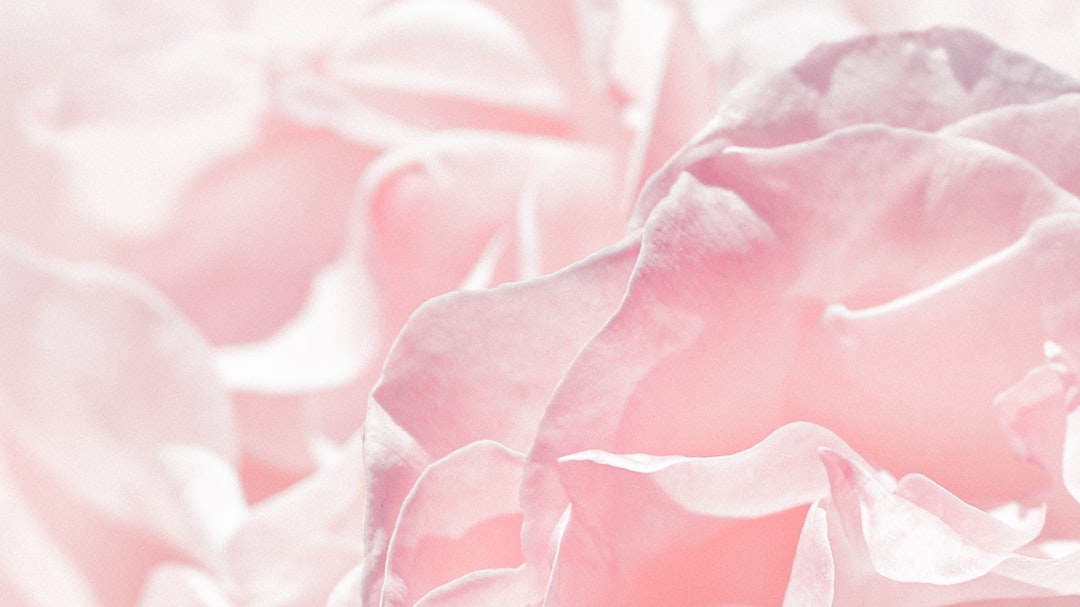 Inviti di matrimonio personalizzati: crea il tuo stile unico per il grande giorno!