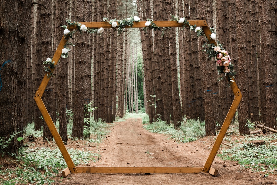 Cerimonia matrimonio: guida completa e consigli per organizzare il tuo giorno speciale
